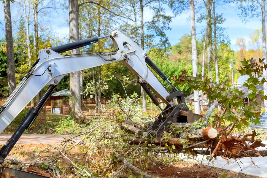 Expert Land Clearing Haines City, FL Expert Land Clearing Haines City, FL